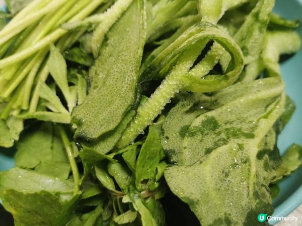 極力推介既餐廳, 唔OT收工去食餐勁