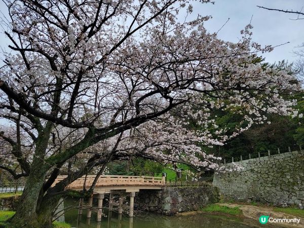 Day 6: 連續兩日遊名城但落雨