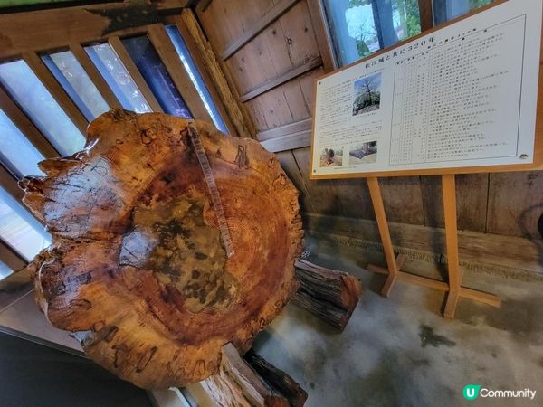 Day 6: 連續兩日遊名城但落雨