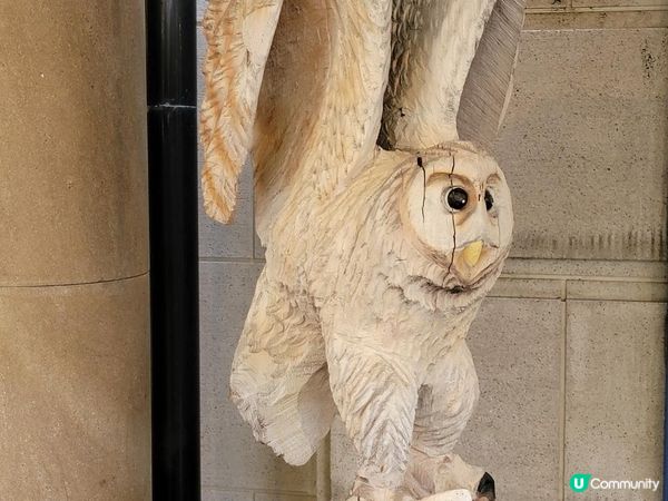 Day 6: 連續兩日遊名城但落雨