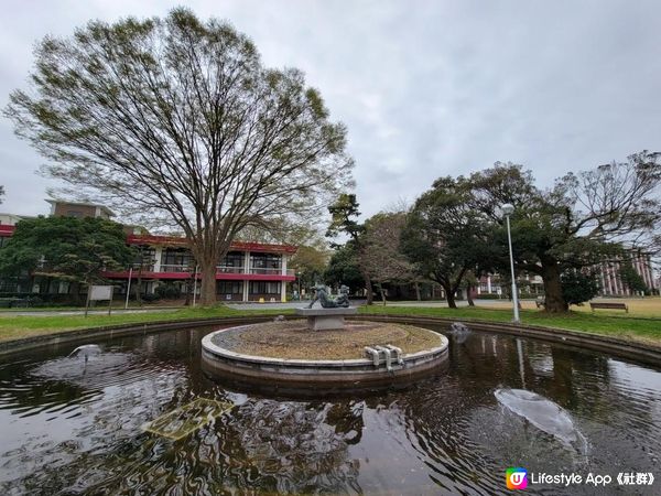 Day 8: 停雨後加緊行程尋白兔