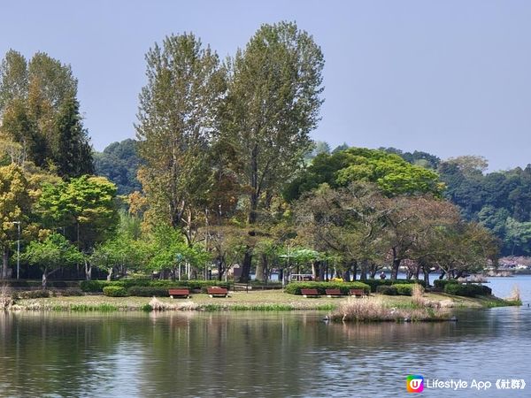 Day 25: 繼續在関東地區郊遊