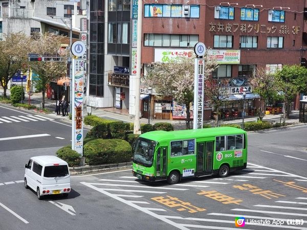 Day 25: 繼續在関東地區郊遊