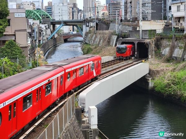 Day 26: 最後一天日本遊 明早成田飛走
