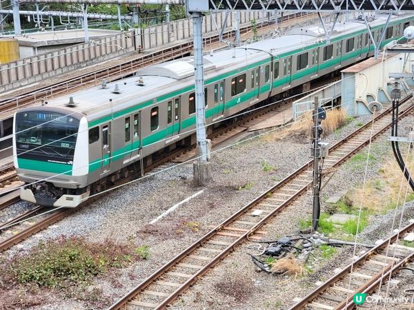 Day 26: 最後一天日本遊 明早成田飛走