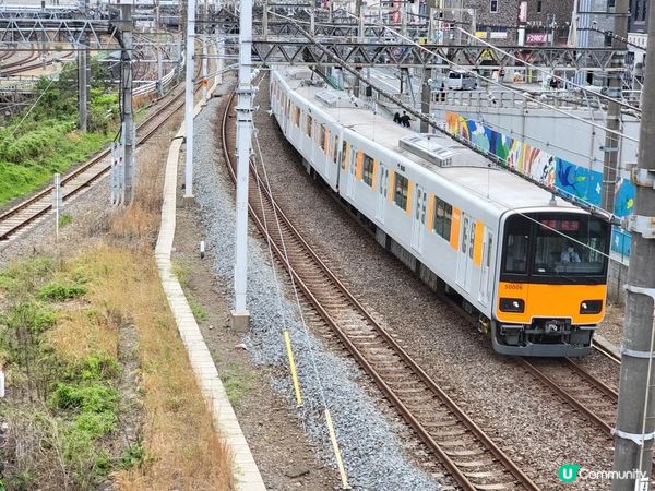 Day 26: 最後一天日本遊 明早成田飛走