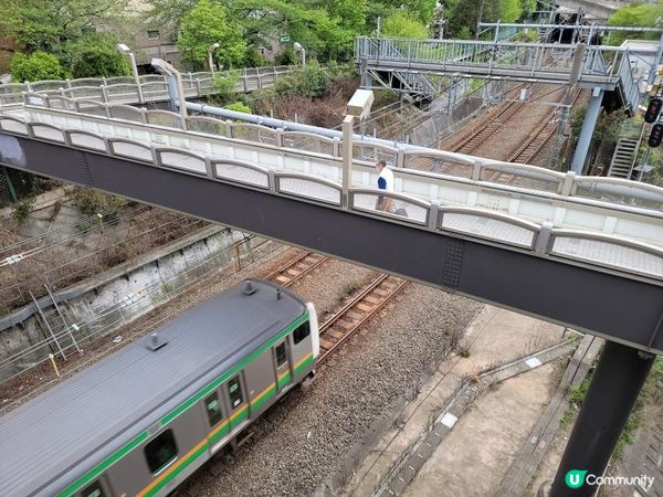 Day 26: 最後一天日本遊 明早成田飛走