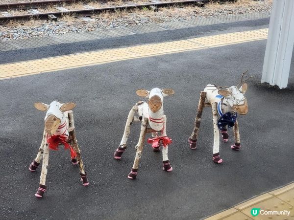 雨中遊軽井沢 再搭星空列車