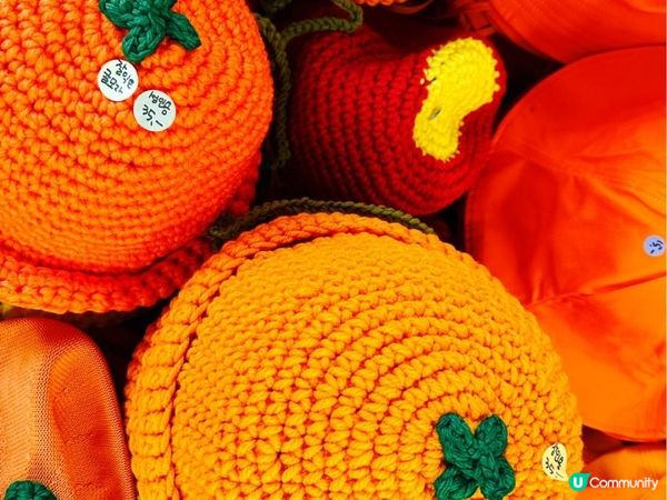 Jeju & Busan| 釜山濟州 |沿海地區打卡8日7夜遊(1)