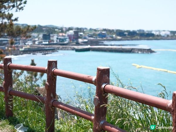 Jeju & Busan| 釜山濟州 |沿海地區打卡8日7夜遊(1)