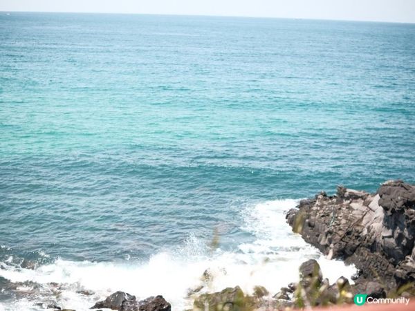 Jeju & Busan| 釜山濟州 |沿海地區打卡8日7夜遊(1)