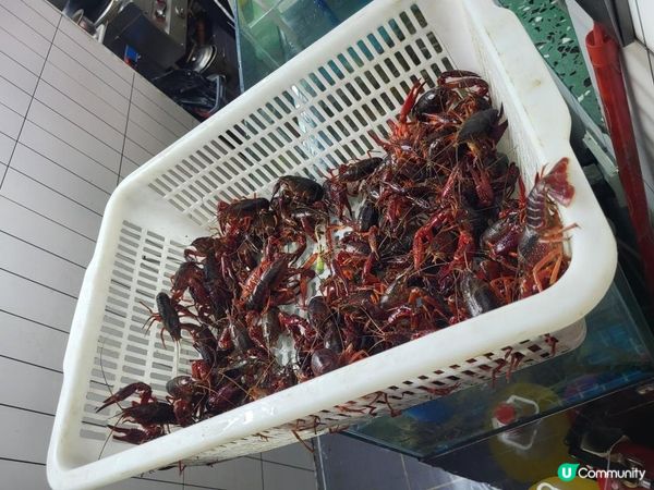 深圳 ︳必打卡的平價海鮮燒烤