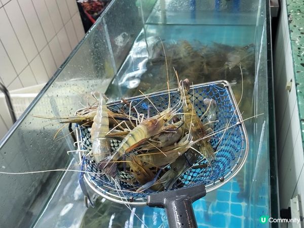 深圳 ︳必打卡的平價海鮮燒烤