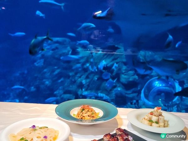 中秋節好去處 X 「月滿中秋」晚餐 @ 海龍王餐廳 ( 香港仔海洋公園夢幻水都海洋奇觀 )