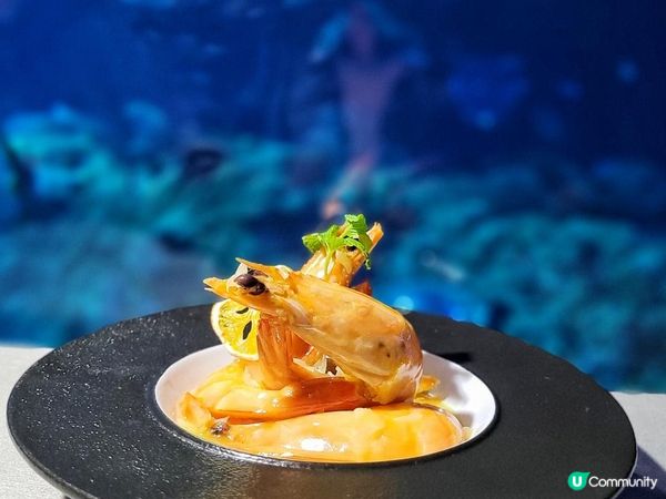 中秋節好去處 X 「月滿中秋」晚餐 @ 海龍王餐廳 ( 香港仔海洋公園夢幻水都海洋奇觀 )