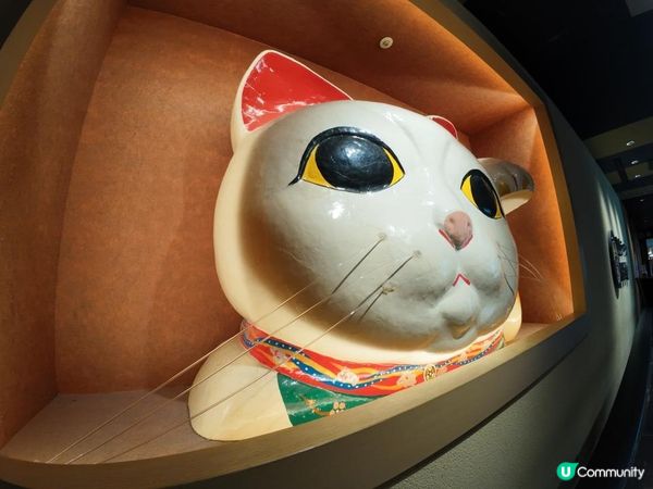 集結了六家代表日本的熱門拉麵店好推介