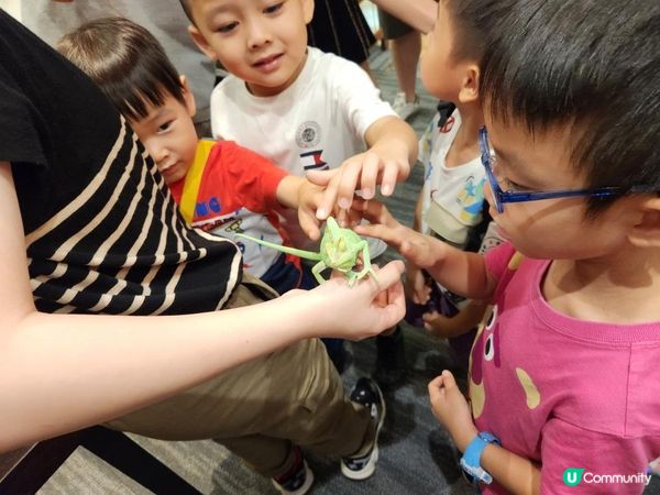 【暟。玩。樂】#55 蟲林教室【期間限定】