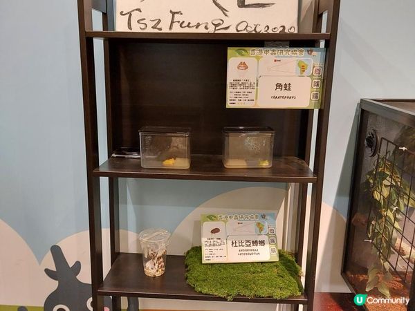 【暟。玩。樂】#55 蟲林教室【期間限定】