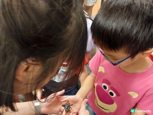 【暟。玩。樂】#55 蟲林教室【期間限定】