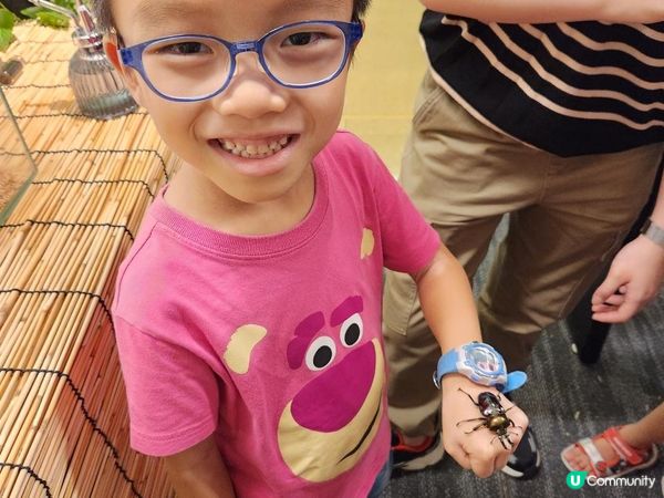 【暟。玩。樂】#55 蟲林教室【期間限定】