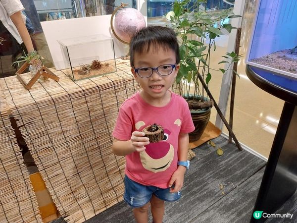 【暟。玩。樂】#55 蟲林教室【期間限定】