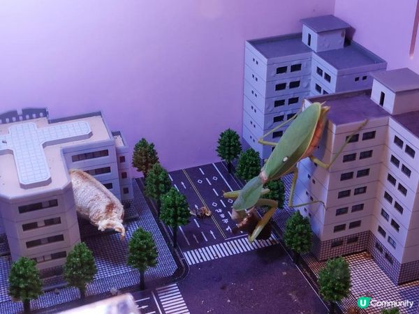 【暟。玩。樂】#55 蟲林教室【期間限定】