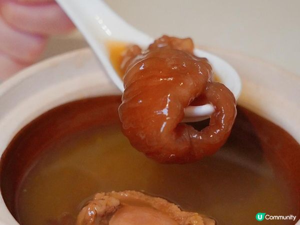 《尖沙咀百樂酒店🏨自助晚餐🍴》最平65折一位人均$3XX😍｜無限量供應冰鎮海鮮🦞｜鮑魚燕窩主題✨｜入座即送金湯花膠鮑魚鍋👀｜火焰雪山🌋