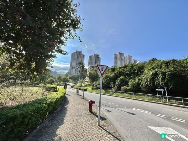 愉景灣｜眺望台美景 + 芒草打卡位 + 水塘天空之鏡｜可選擇徒步三十多分鐘或乘車五分鐘直達