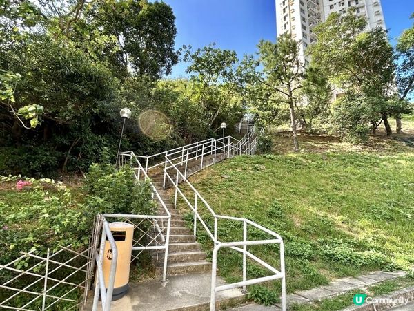 愉景灣｜眺望台美景 + 芒草打卡位 + 水塘天空之鏡｜可選擇徒步三十多分鐘或乘車五分鐘直達