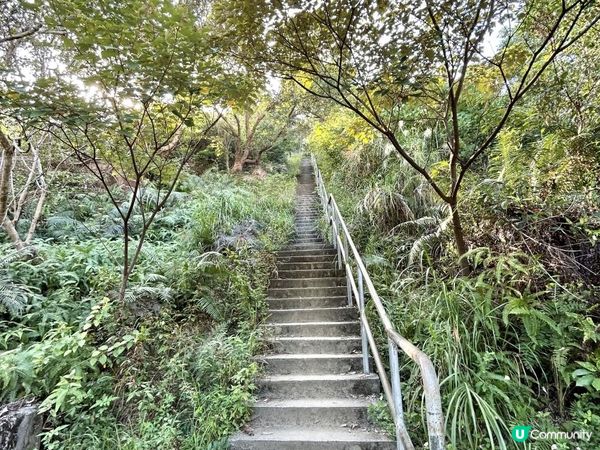 愉景灣｜眺望台美景 + 芒草打卡位 + 水塘天空之鏡｜可選擇徒步三十多分鐘或乘車五分鐘直達