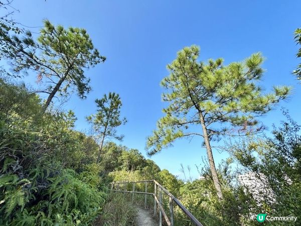 愉景灣｜眺望台美景 + 芒草打卡位 + 水塘天空之鏡｜可選擇徒步三十多分鐘或乘車五分鐘直達