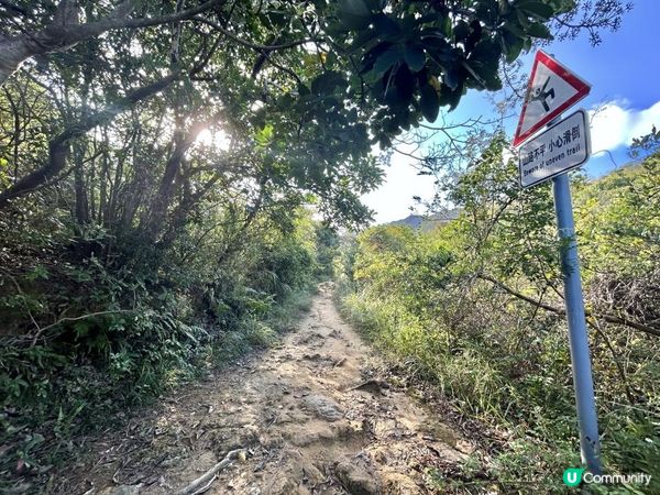 愉景灣｜眺望台美景 + 芒草打卡位 + 水塘天空之鏡｜可選擇徒步三十多分鐘或乘車五分鐘直達