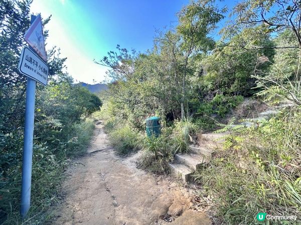 愉景灣｜眺望台美景 + 芒草打卡位 + 水塘天空之鏡｜可選擇徒步三十多分鐘或乘車五分鐘直達