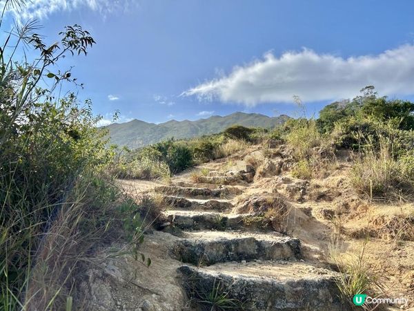 愉景灣｜眺望台美景 + 芒草打卡位 + 水塘天空之鏡｜可選擇徒步三十多分鐘或乘車五分鐘直達