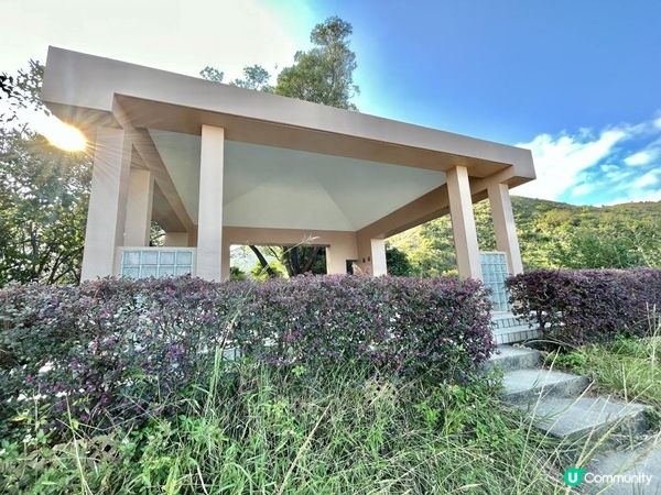 愉景灣｜眺望台美景 + 芒草打卡位 + 水塘天空之鏡｜可選擇徒步三十多分鐘或乘車五分鐘直達