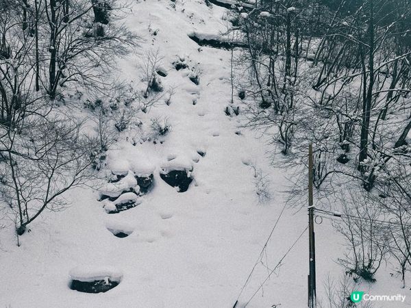 Amazing 雪景 - 新穗高坐空中纜車🚡