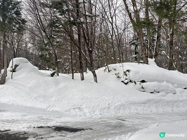 Amazing 雪景 - 新穗高坐空中纜車🚡