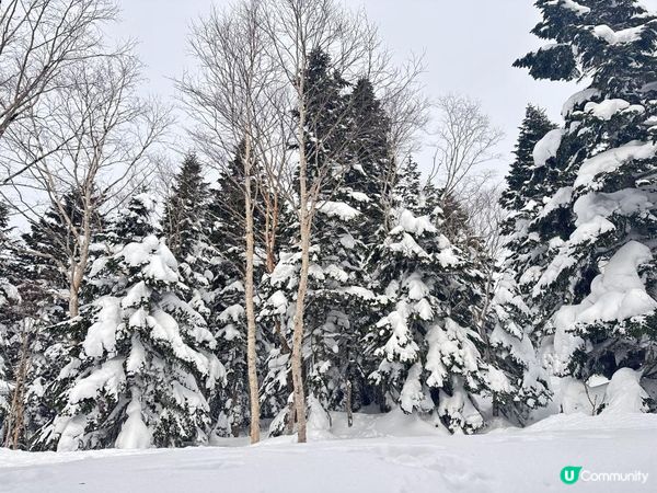 Amazing 雪景 - 新穗高坐空中纜車🚡