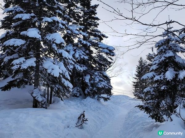 Amazing 雪景 - 新穗高坐空中纜車🚡