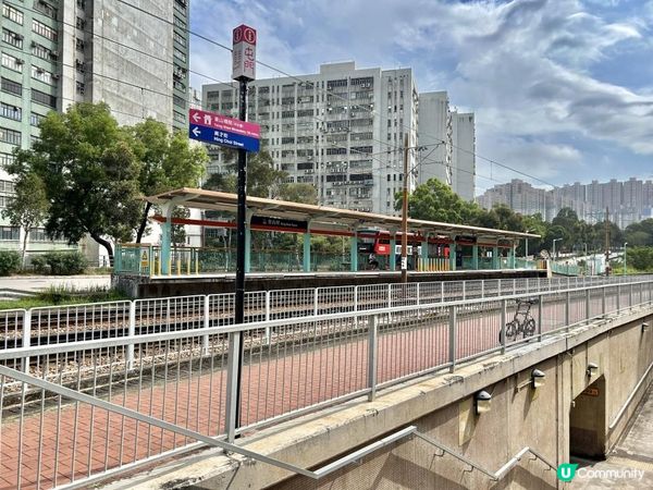 青山｜漫步雲端天梯 飽覽廣闊大地｜參觀歷史建築：青山禪院｜三小時洗滌心靈之旅