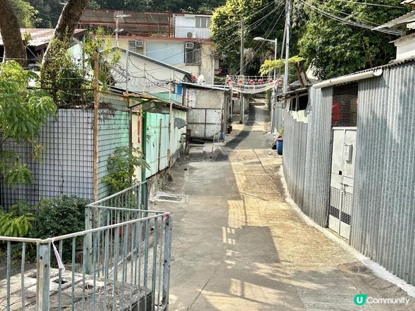 青山｜漫步雲端天梯 飽覽廣闊大地｜參觀歷史建築：青山禪院｜三小時洗滌心靈之旅