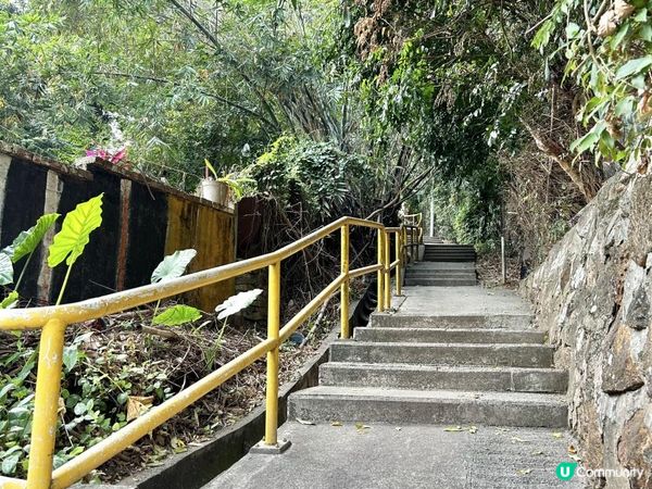 青山｜漫步雲端天梯 飽覽廣闊大地｜參觀歷史建築：青山禪院｜三小時洗滌心靈之旅