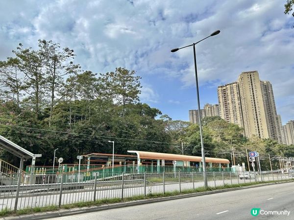 青山｜漫步雲端天梯 飽覽廣闊大地｜參觀歷史建築：青山禪院｜三小時洗滌心靈之旅