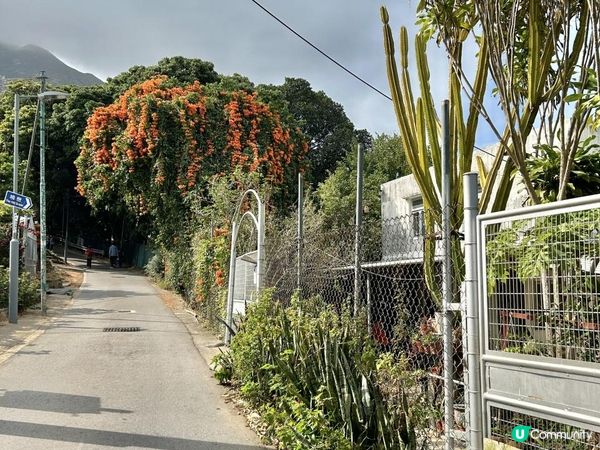 青山｜漫步雲端天梯 飽覽廣闊大地｜參觀歷史建築：青山禪院｜三小時洗滌心靈之旅