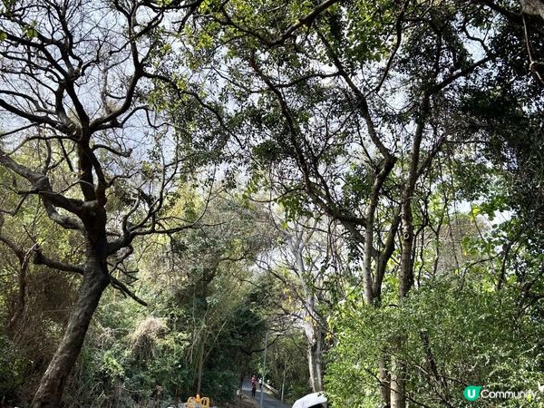 青山｜漫步雲端天梯 飽覽廣闊大地｜參觀歷史建築：青山禪院｜三小時洗滌心靈之旅