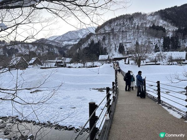 超美的白川鄉合掌村點燈