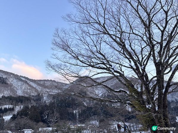 超美的白川鄉合掌村點燈