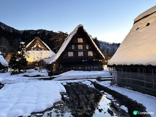 超美的白川鄉合掌村點燈
