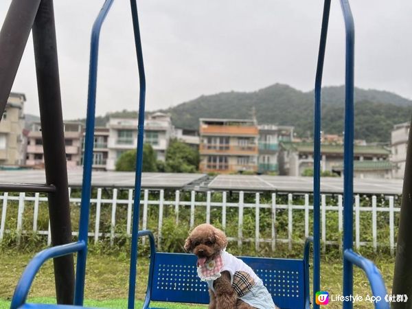 親子👨‍👩‍👧‍👦 寵物友善🐶🐾 假日好去處 有草泥馬睇？