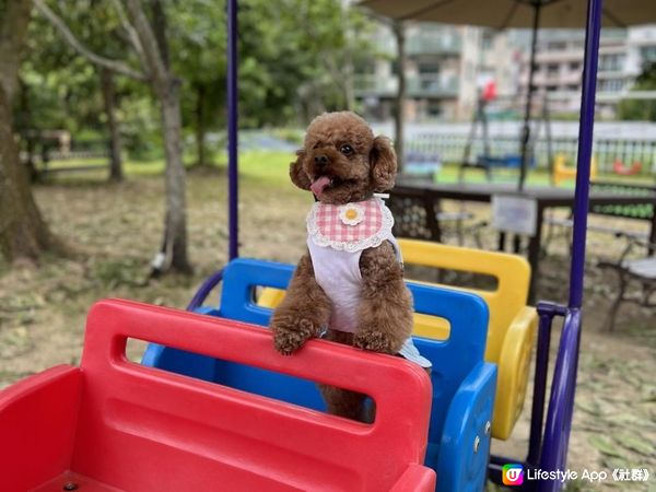 親子👨‍👩‍👧‍👦 寵物友善🐶🐾 假日好去處 有草泥馬睇？